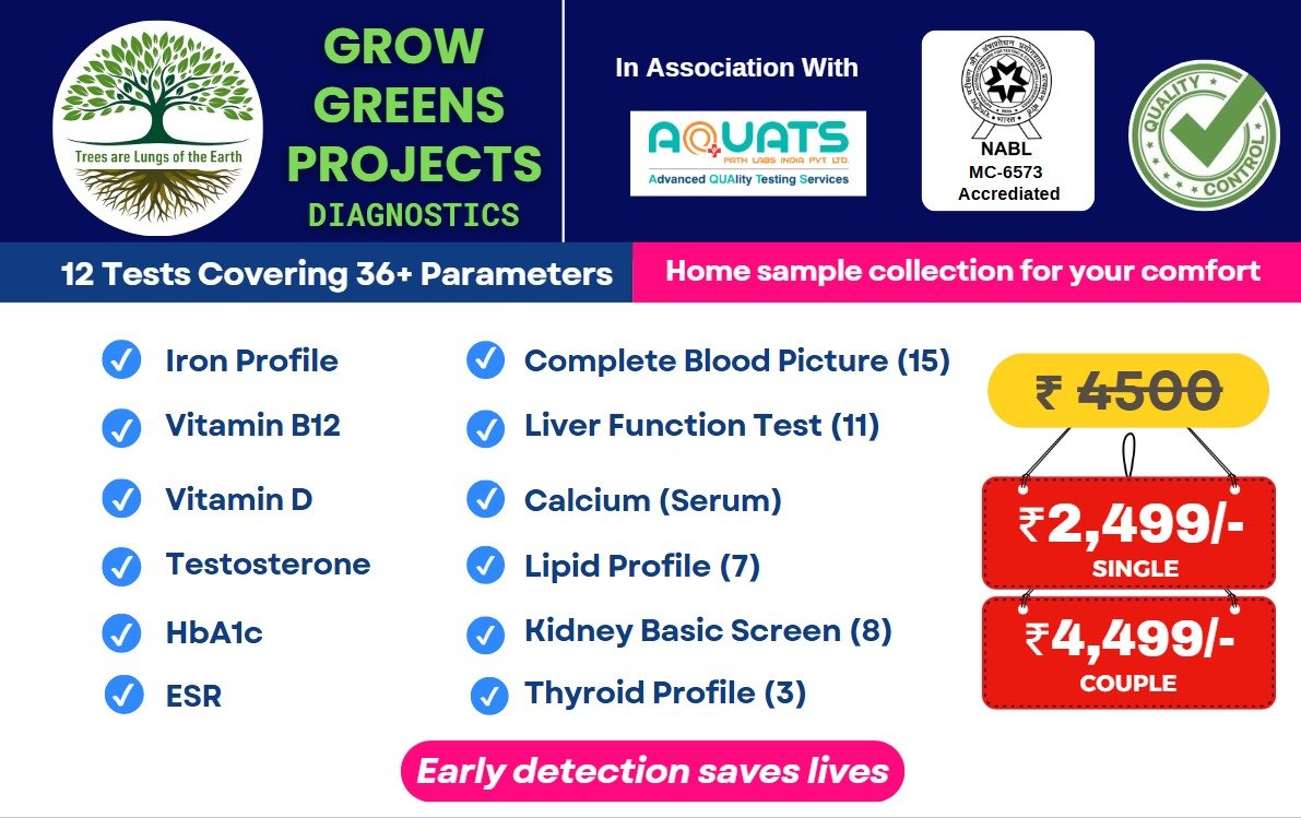Complete Blood Picture Test