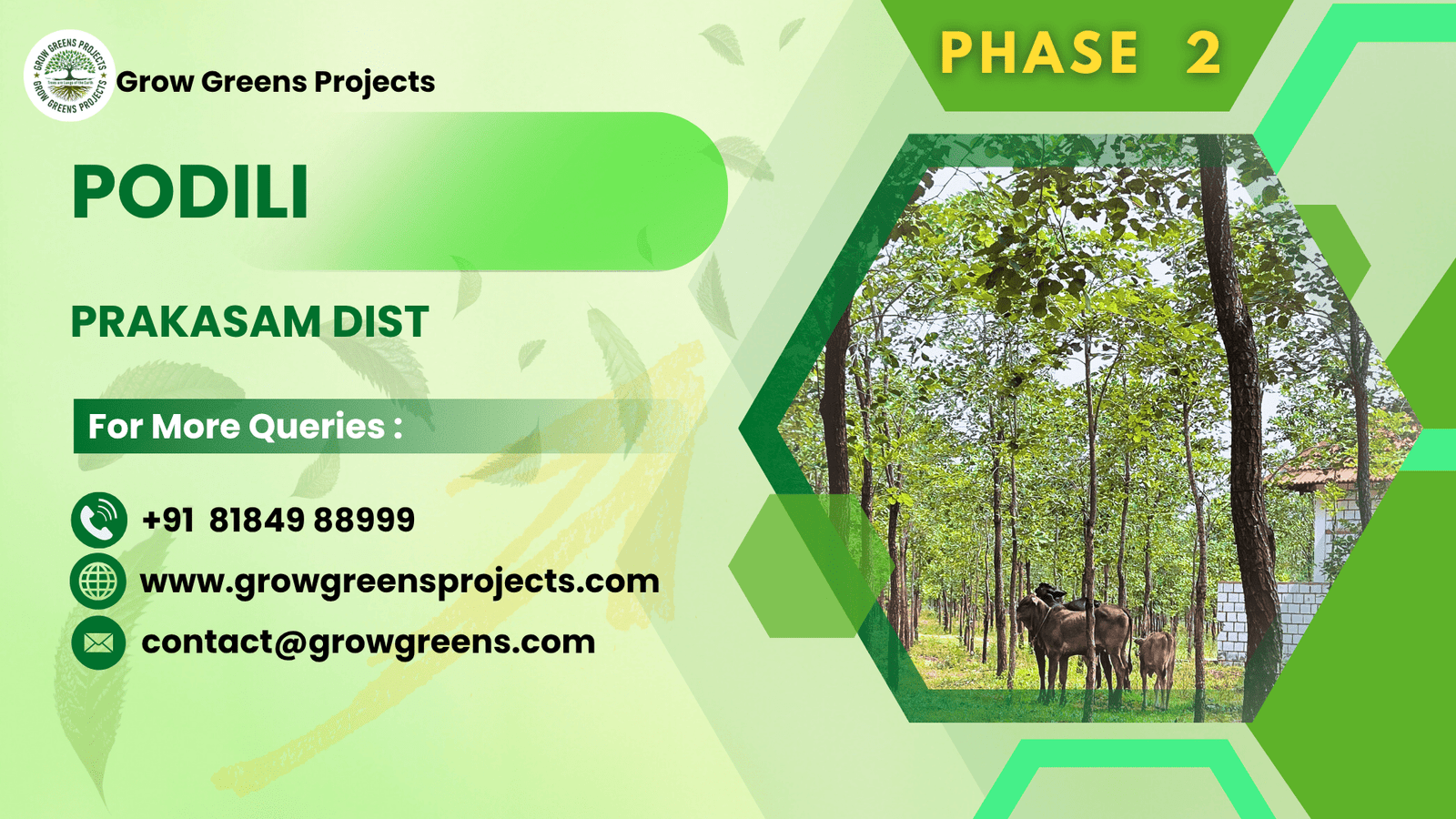 Phase 02